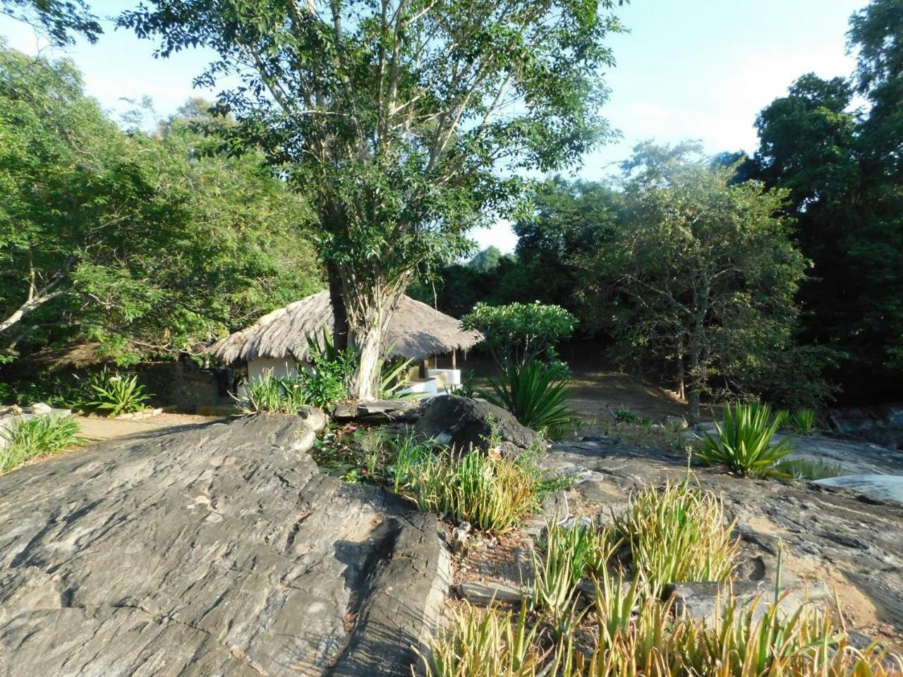 Galapita Eco Lodge Buttala Zimmer foto